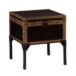 Emma Antique Black Trunk End Table by Southern Enterprises