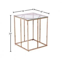 Lahz Champagne Contemporary End Table by Southern Enterprises -Southern Enterprises Sales champagne finish southern enterprises end side tables hd433592 40 1000