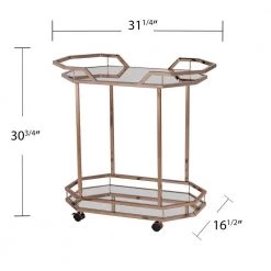 Berndt Champagne Finish Bar Cart by Southern Enterprises 17 Berndt Champagne Finish Bar Cart by Southern Enterprises -Southern Enterprises Sales champagne finish with mirror southern enterprises bar carts hd530178 fa 1000