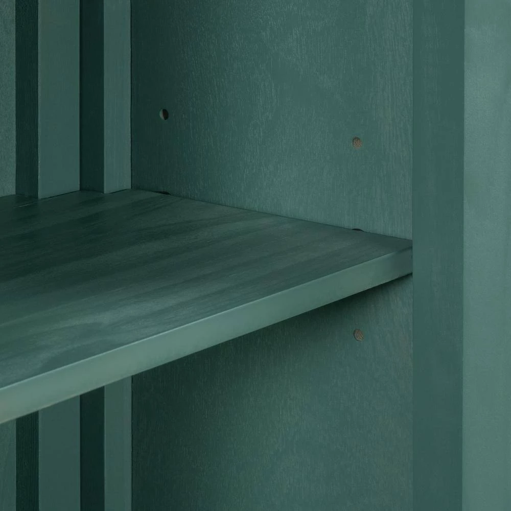 Green Accent Storage Wooden Cabinet with Adjustable Shelf by Huluwat 8 Green Accent Storage Wooden Cabinet with Adjustable Shelf by Huluwat - Image 6