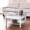 Eshom 29 in. Silver Medium Square Glass Coffee Table with Shelf by Southern Enterprises -Southern Enterprises Sales mirror w brushed matte silver finish southern enterprises coffee tables hd598949 64 1000
