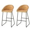 Lawlins 40.75 in. Natural Backed Metal Bar Stool with Water Hyacinth Seat (Set of 2) by Southern Enterprises 2 Lawlins 40.75 in. Natural Backed Metal Bar Stool with Water Hyacinth Seat (Set of 2) by Southern Enterprises -Southern Enterprises Sales natural southern enterprises bar stools hd391878 64 1000