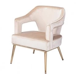 Reeghan Taupe with Champagne Upholstered Accent Chair by Southern Enterprises 18 Reeghan Taupe with Champagne Upholstered Accent Chair by Southern Enterprises -Southern Enterprises Sales taupe and champagne finish southern enterprises accent chairs hd473550 1f 1000